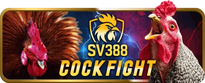 Chơi ok365vip casino trên PC